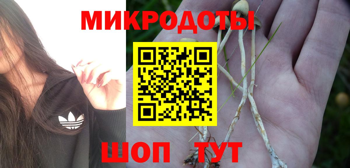 Галлюциногенные грибы GOLDEN TEACHER Волжск